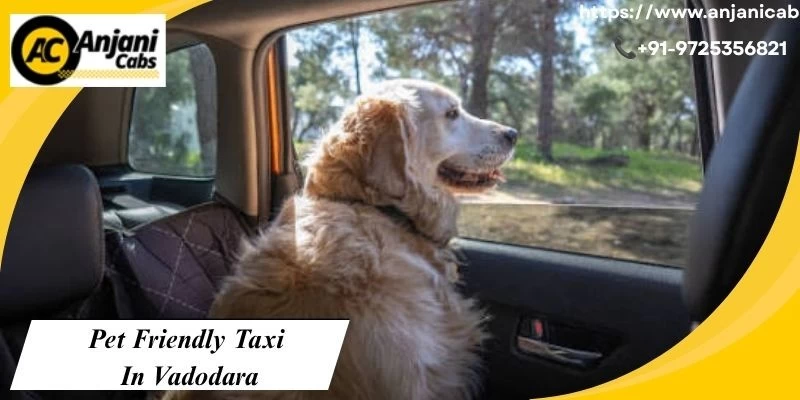 Pet Friendly Taxi In Vadodara