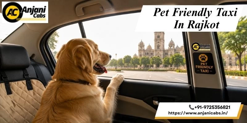 Pet Friendly Taxi In Rajkot